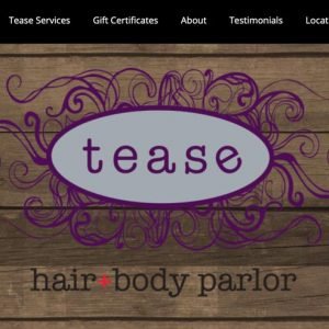 Tease Hair Parlor Web Design